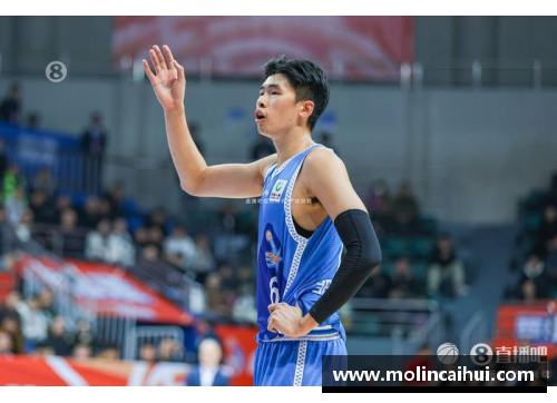 HB火博体育NBA球员丁怡：职业生涯与个人成就综述 - 副本