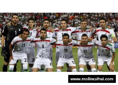 HB火博体育2018年世界杯32支球队大名单与阵容分析