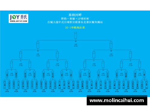 HB火博体育捷克队逆转荷兰，成功晋级欧洲杯八强：惊心动魄的比赛瞬间